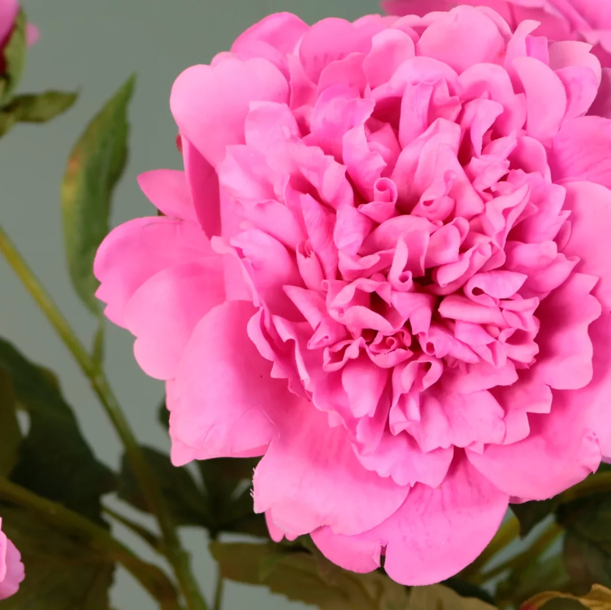 Real Touch Single Peony Hot Pink